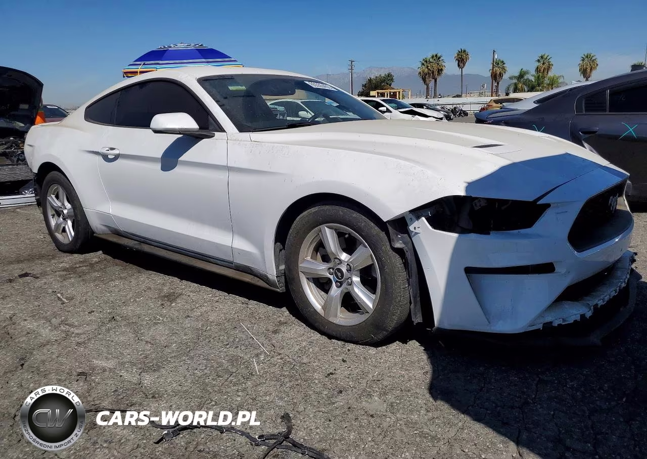 2019 Ford Mustang VIN:1FA6P8TH2K5118830 - 4