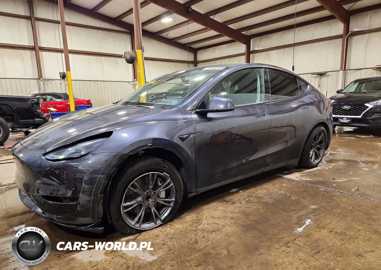 2024 Tesla Model Y VIN:7SAYGDED6RF119593 - 1