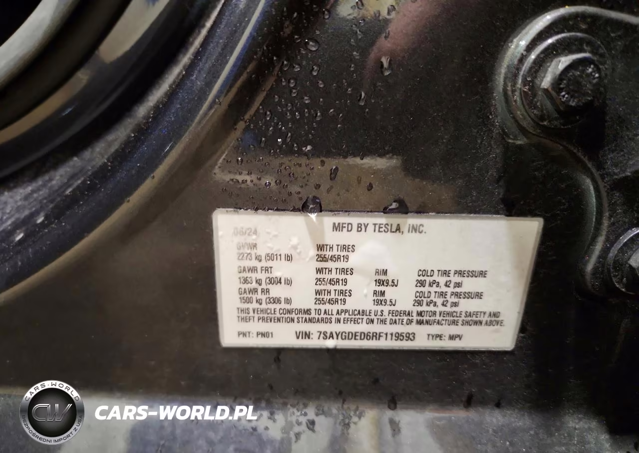 2024 Tesla Model Y VIN:7SAYGDED6RF119593 - 13