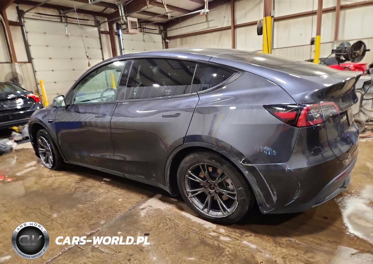 2024 Tesla Model Y VIN:7SAYGDED6RF119593 - 2