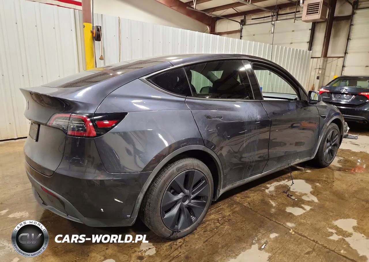2024 Tesla Model Y VIN:7SAYGDED6RF119593 - 3