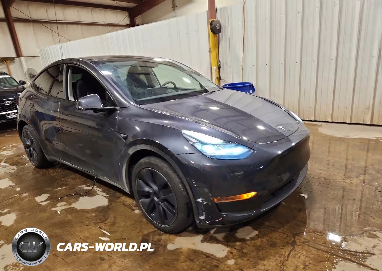 2024 Tesla Model Y VIN:7SAYGDED6RF119593 - 4