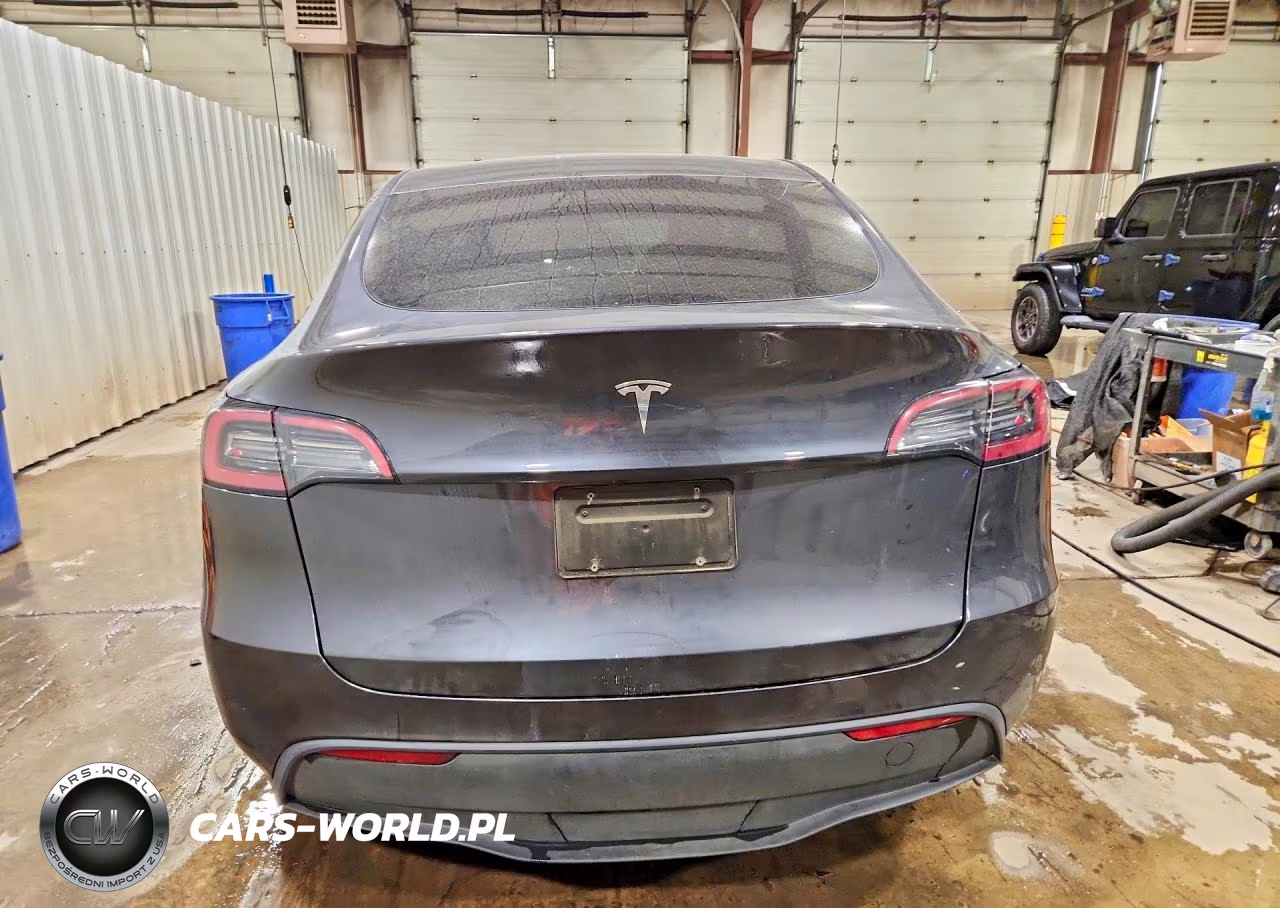 2024 Tesla Model Y VIN:7SAYGDED6RF119593 - 6