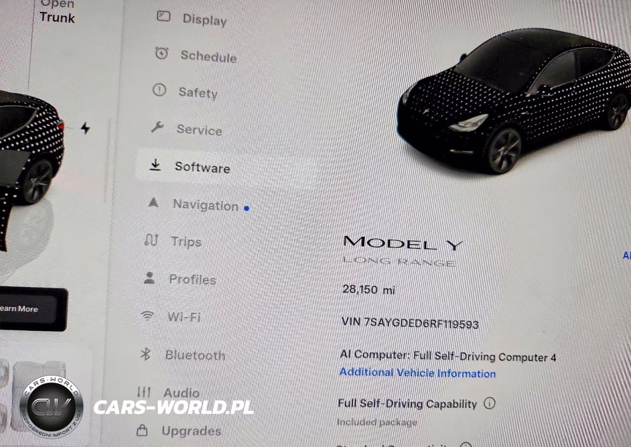 2024 Tesla Model Y VIN:7SAYGDED6RF119593 - 9