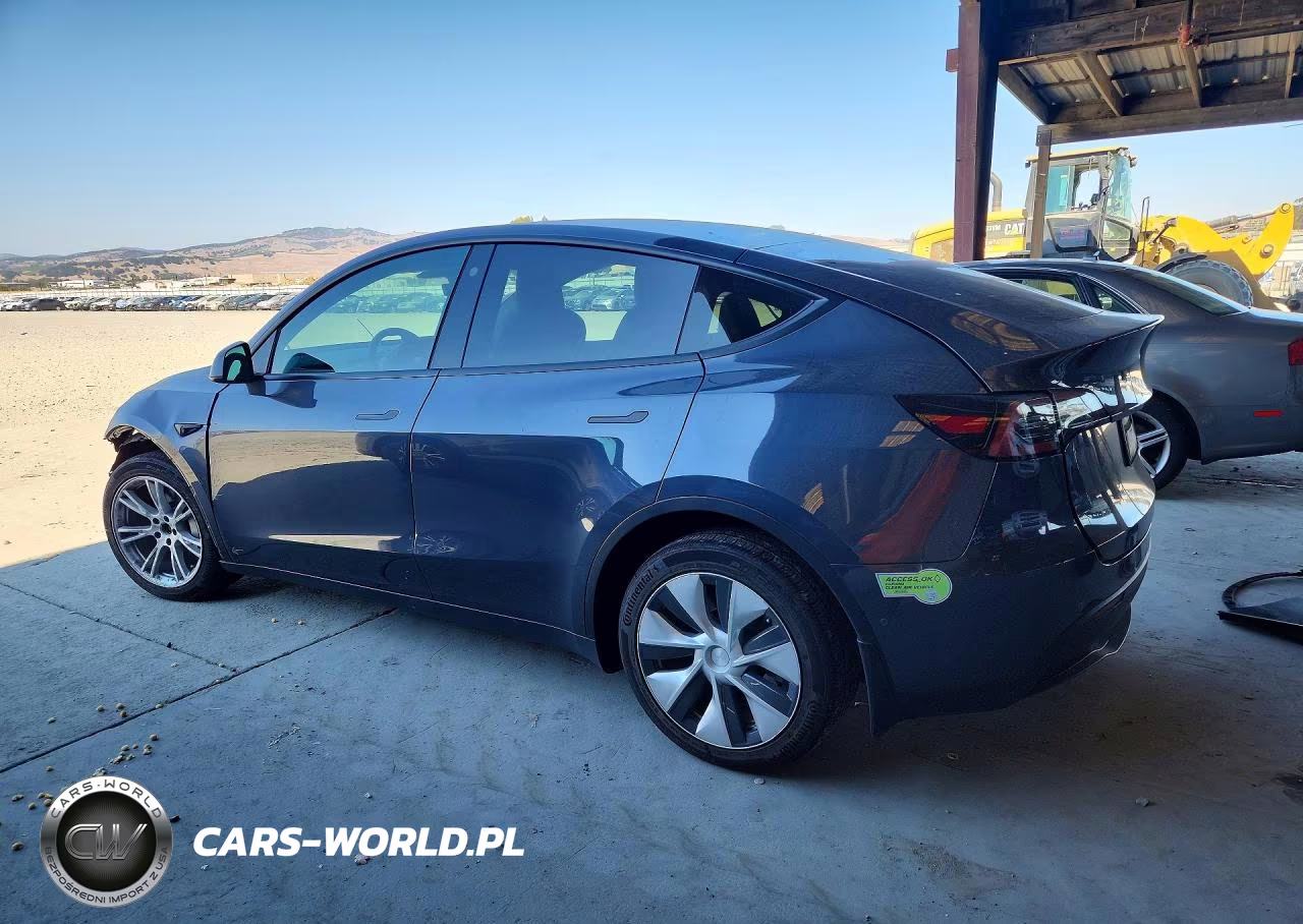 2022 Tesla Model Y VIN:7SAYGDEE3NF439697 - 2