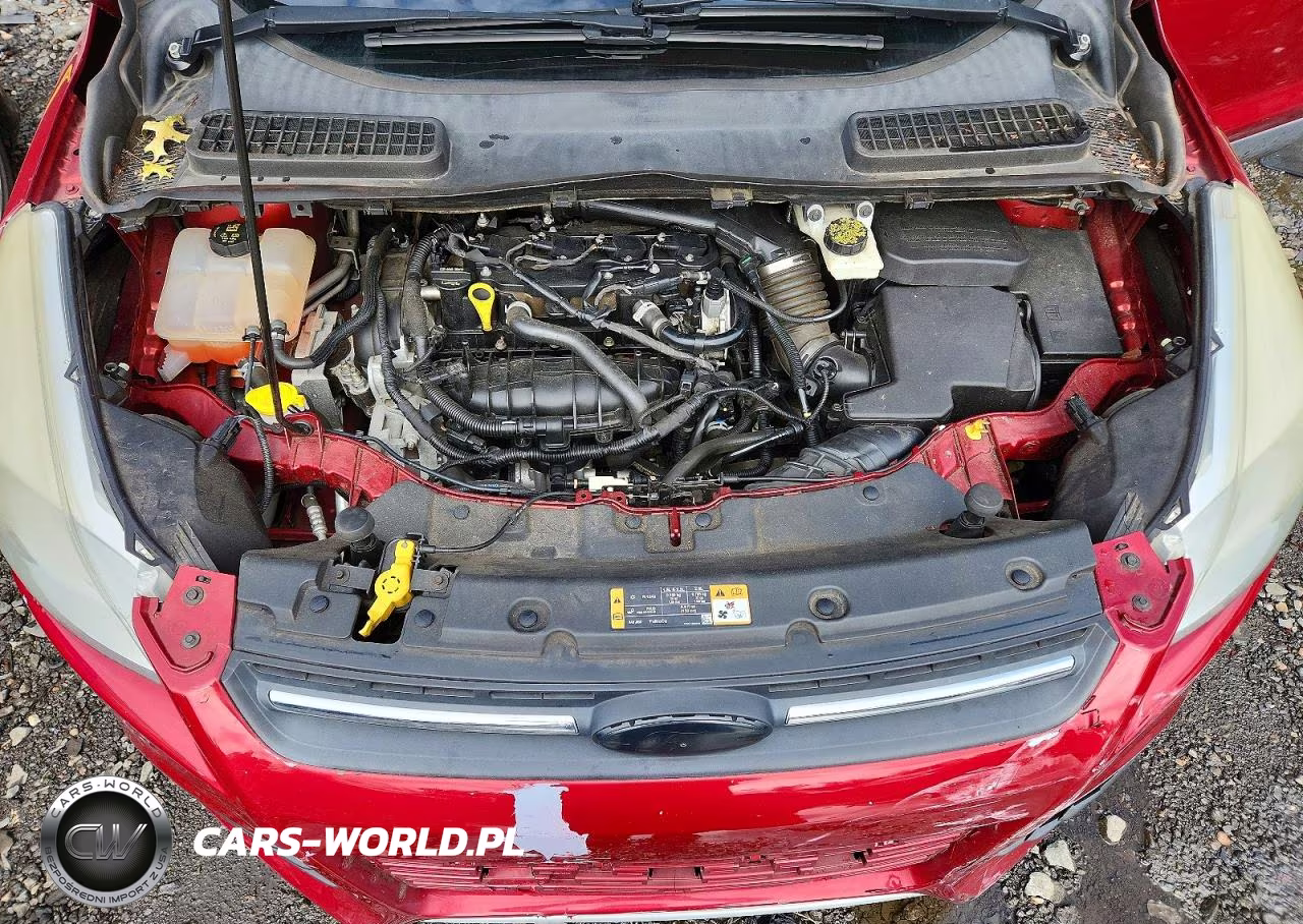 2014 Ford Escape Se VIN:1FMCU0GX1EUD22579 - 12