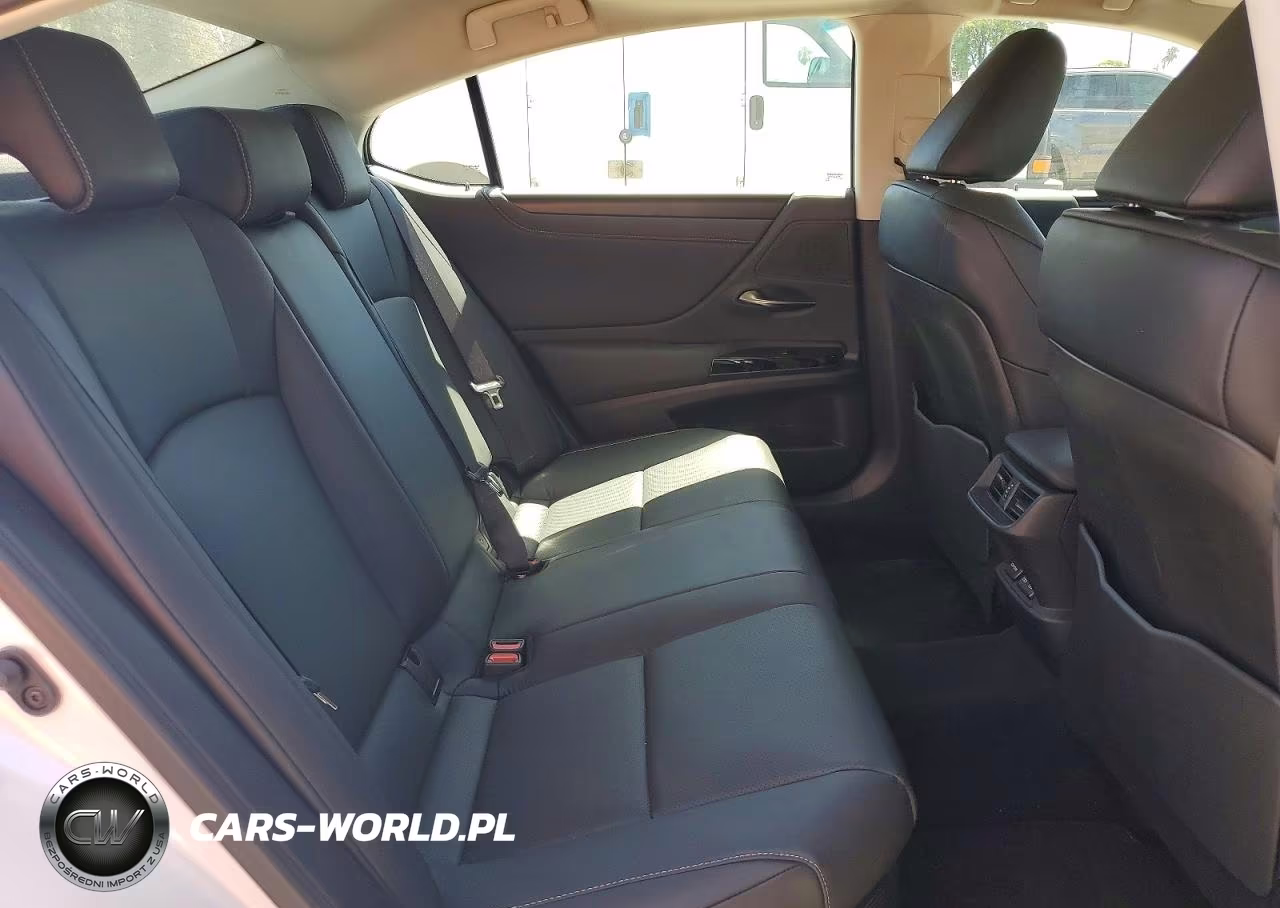 2025 Lexus Es 300H VIN:58ADA1C17SU064593 - 10