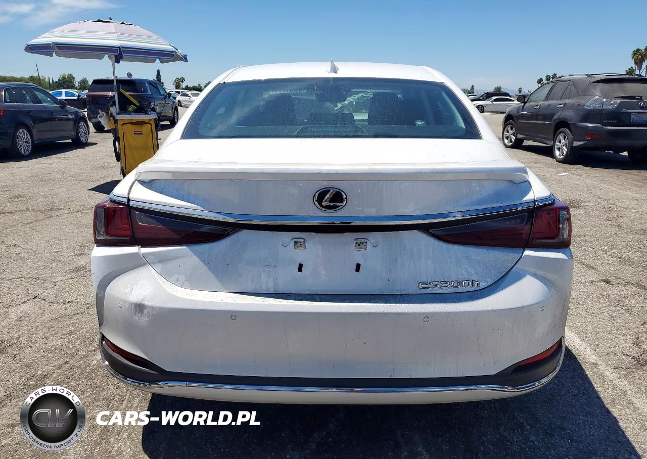 2025 Lexus Es 300H VIN:58ADA1C17SU064593 - 6