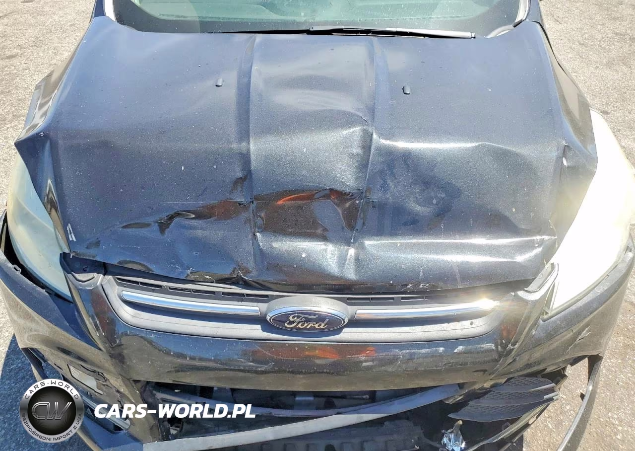 2015 Ford Escape Se VIN:1FMCU0G91FUB64456 - 12