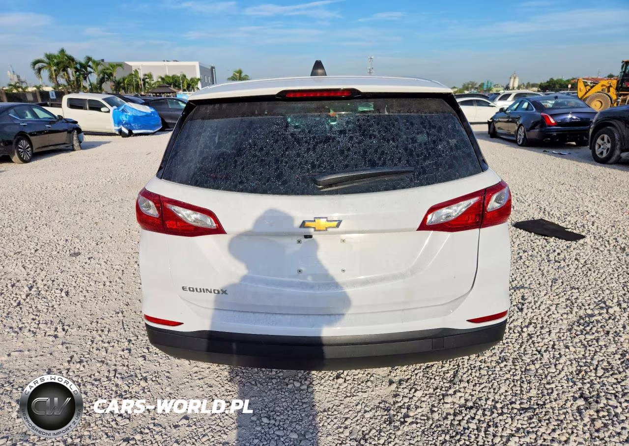 2020 Chevrolet Equinox Ls VIN:3GNAXHEV9LS676101 - 6
