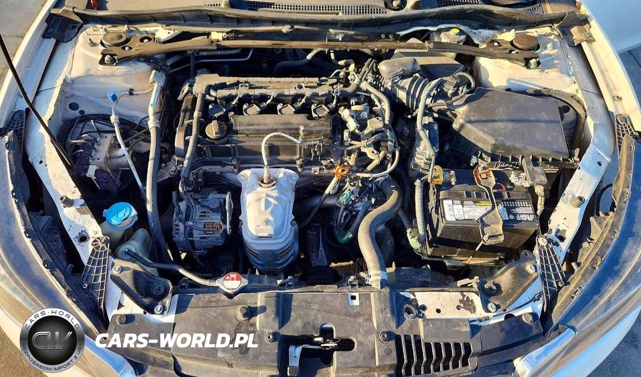 2013 Honda Accord Exl VIN:1HGCR2F80DA057120 - 11