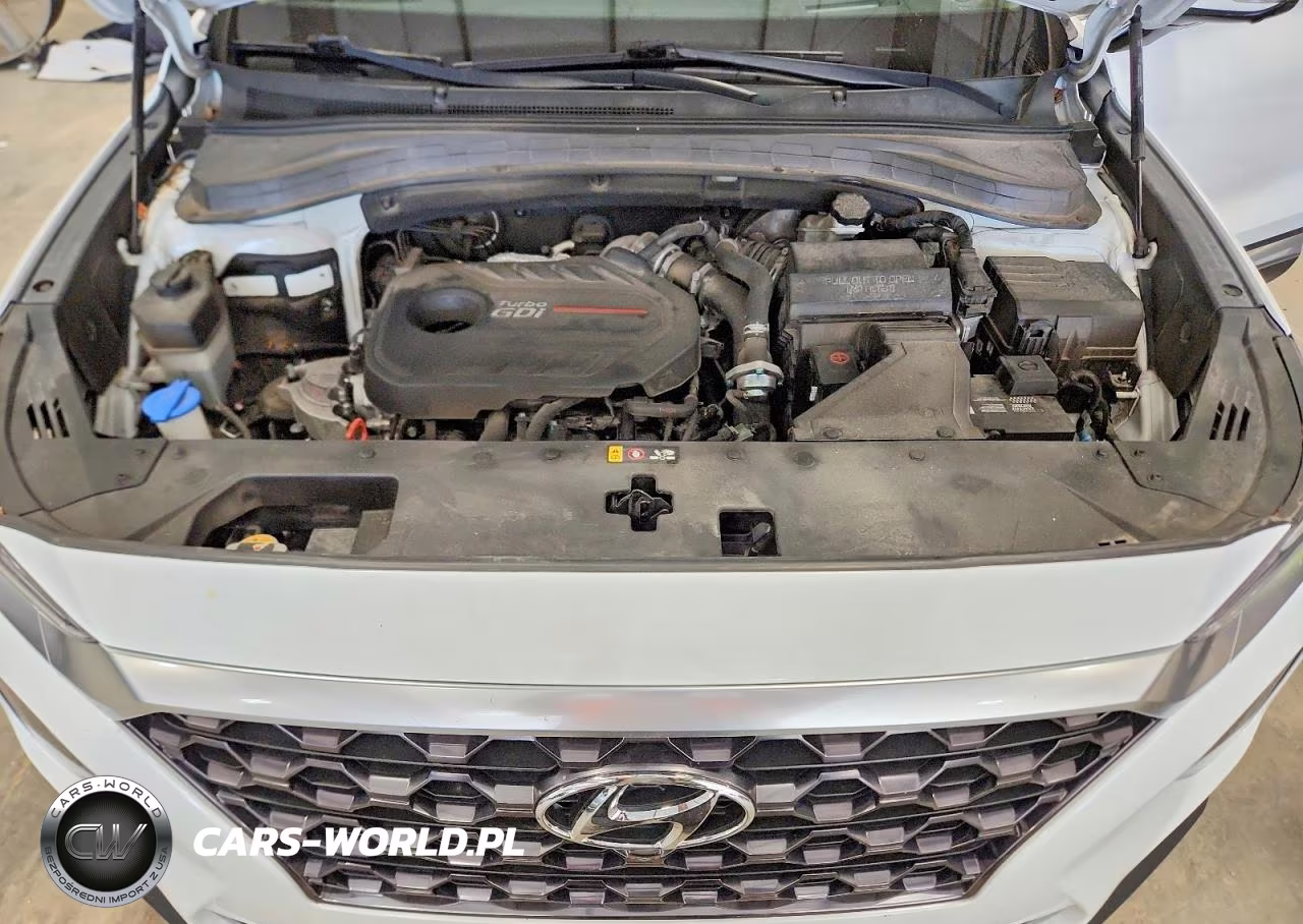 2019 Hyundai Santa Fe Ultimate 2.0T VIN:5NMS53AA0KH053481 - 12