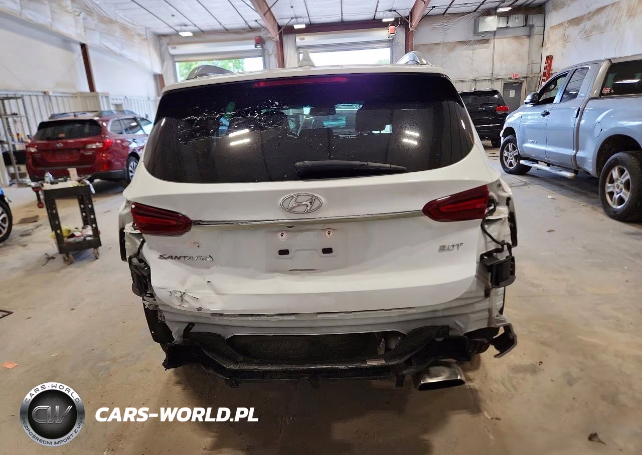 2019 Hyundai Santa Fe Ultimate 2.0T VIN:5NMS53AA0KH053481 - 6