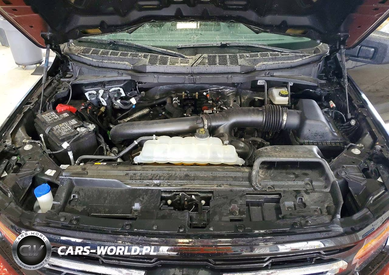2025 Ford F150 Xlt VIN:1FTFW3L85SKE89319 - 11