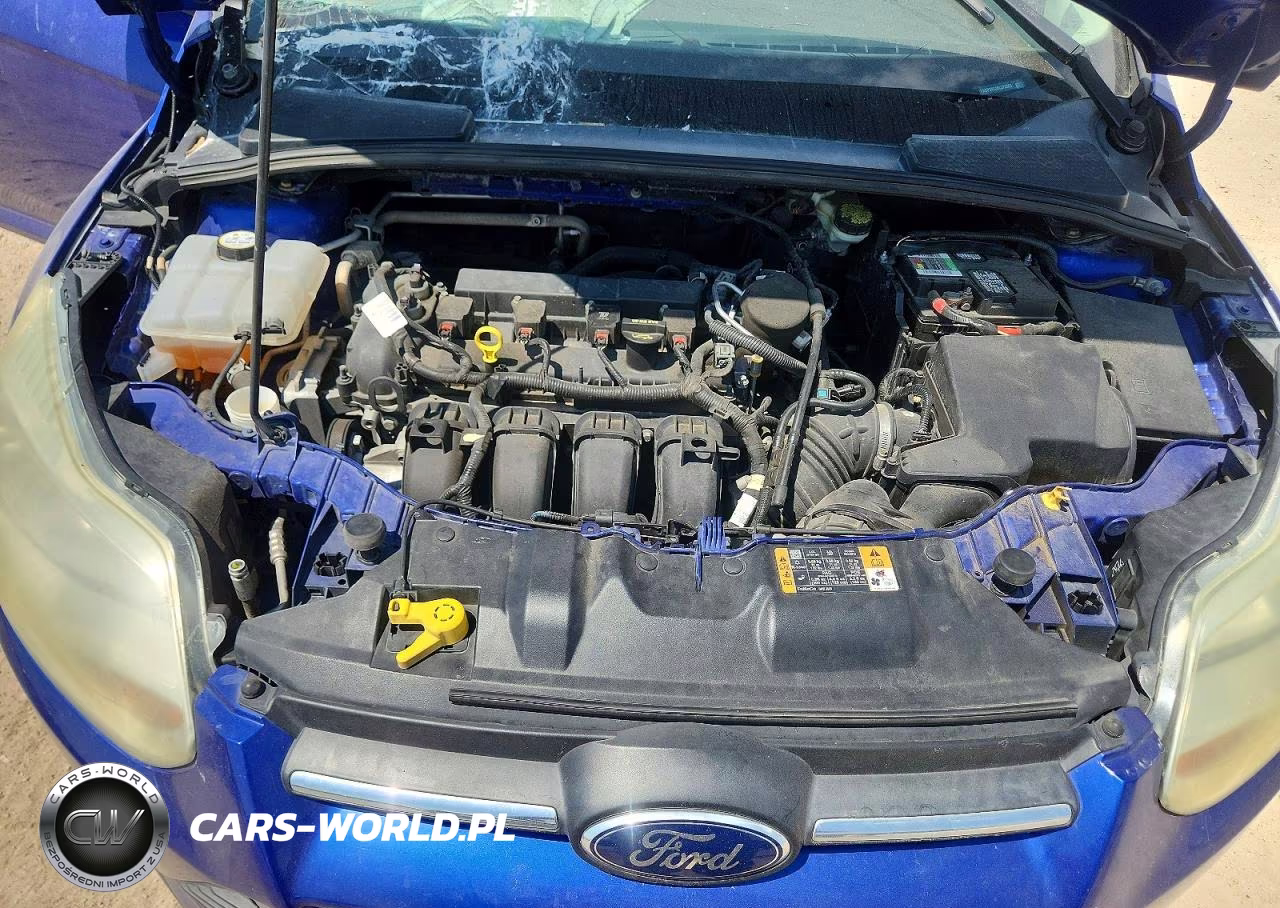 2014 Ford Focus Se VIN:1FADP3K23EL372361 - 11