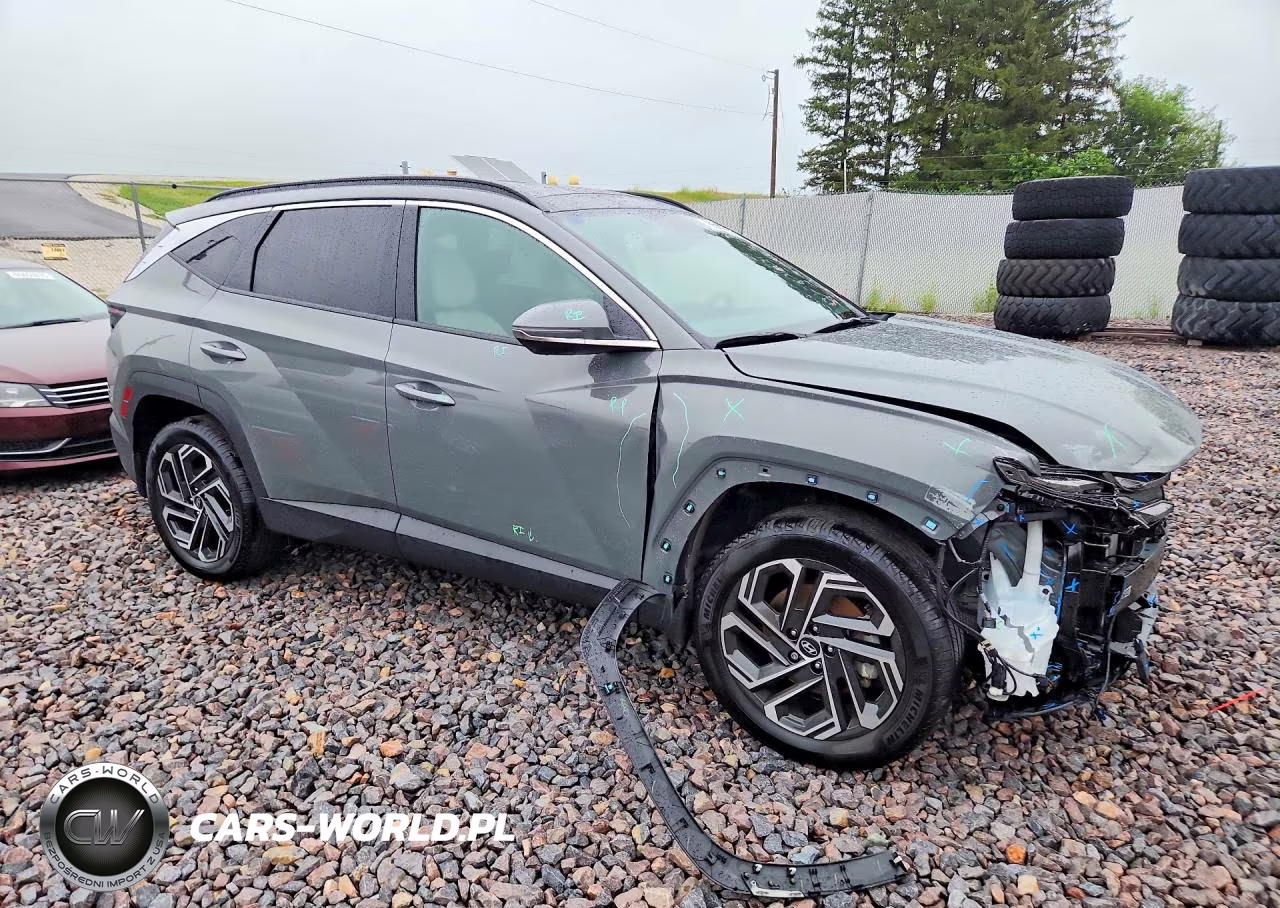 2025 Hyundai Tucson Limited VIN:5NMJECDE1SH518439 - 4