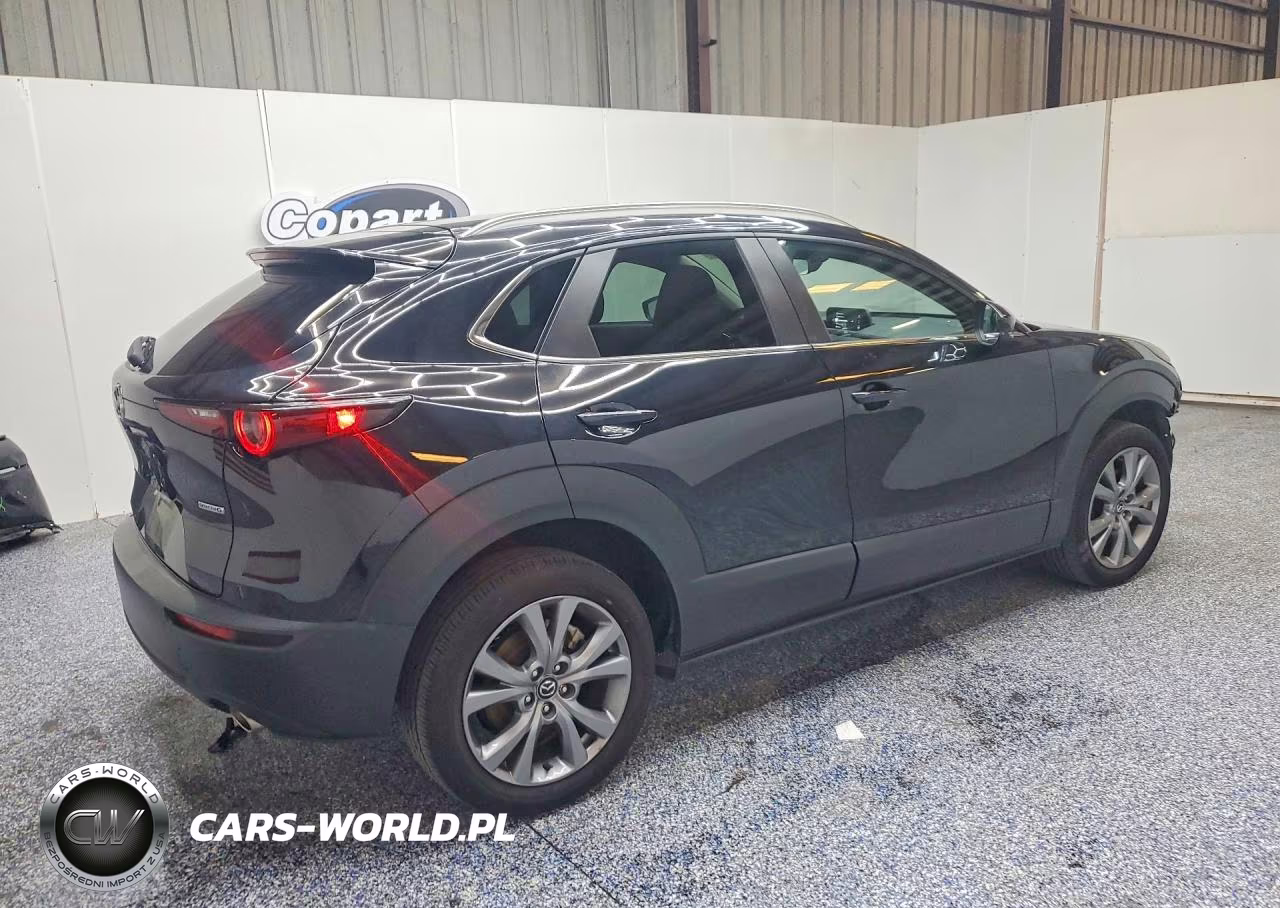 2025 Mazda Cx-30 Preferred VIN:3MVDMBCM7SM758769 - 3