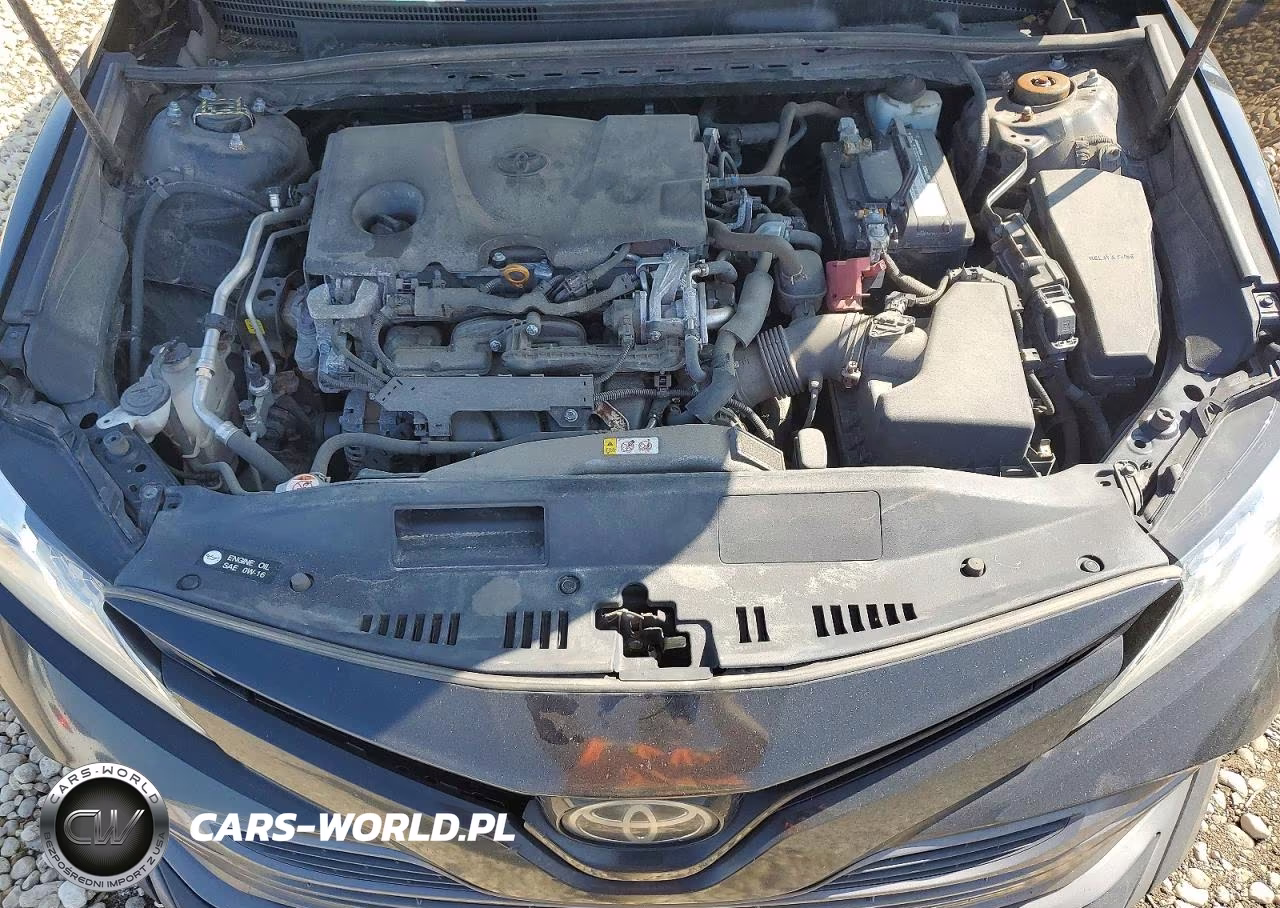2019 Toyota Camry Xle VIN:4T1B11HK7KU248688 - 11
