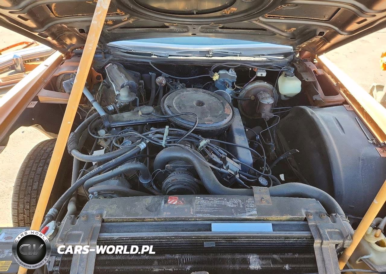 1995 Cadillac Eldorado VIN:6L67S5Q413561 - 11