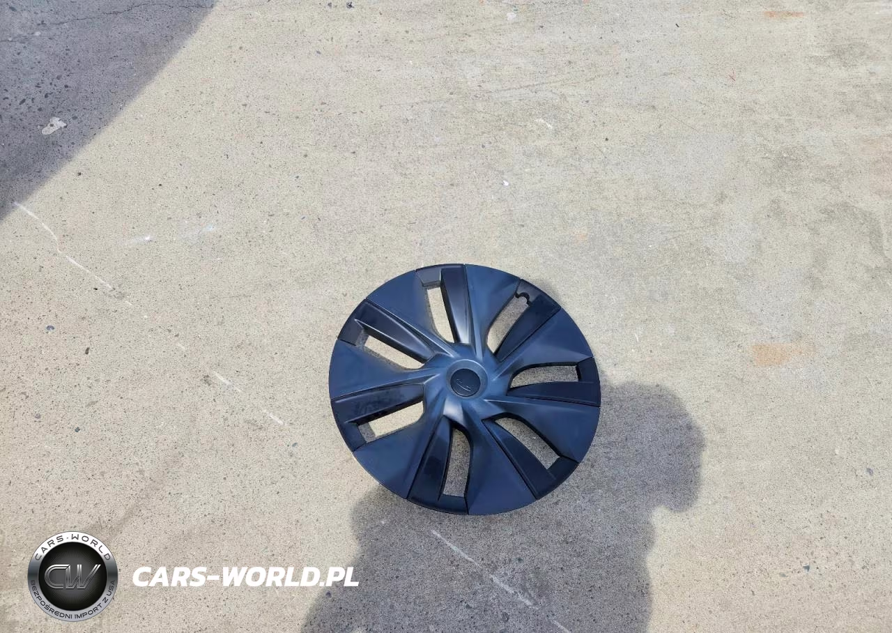 2024 Tesla Model Y VIN:7SAYGDED7RF154403 - 12