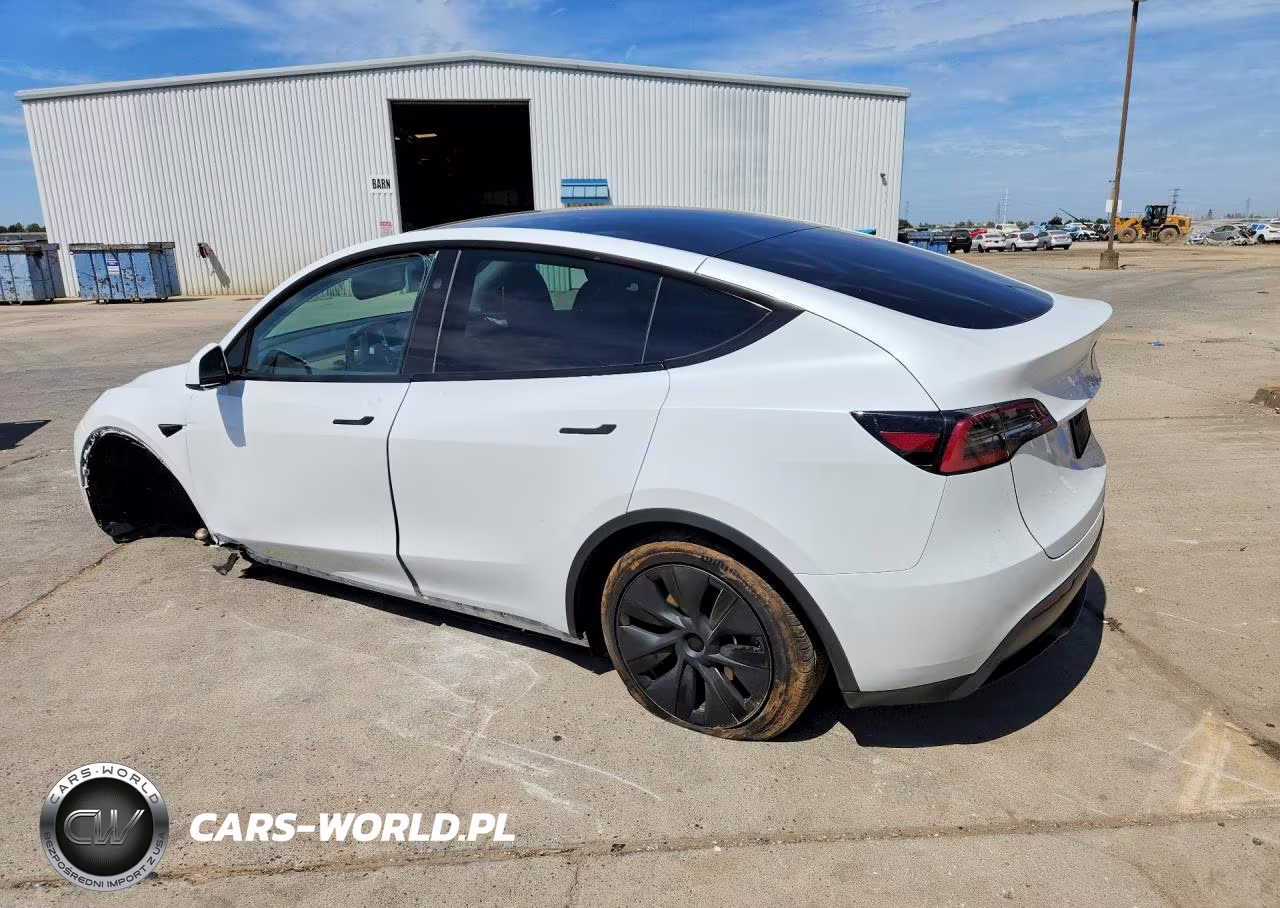2024 Tesla Model Y VIN:7SAYGDED7RF154403 - 2