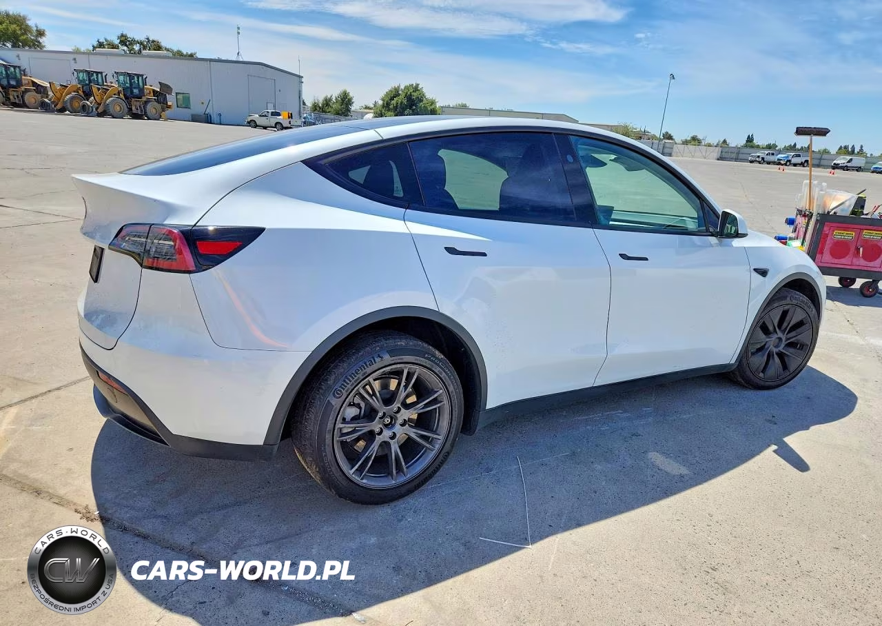 2024 Tesla Model Y VIN:7SAYGDED7RF154403 - 3