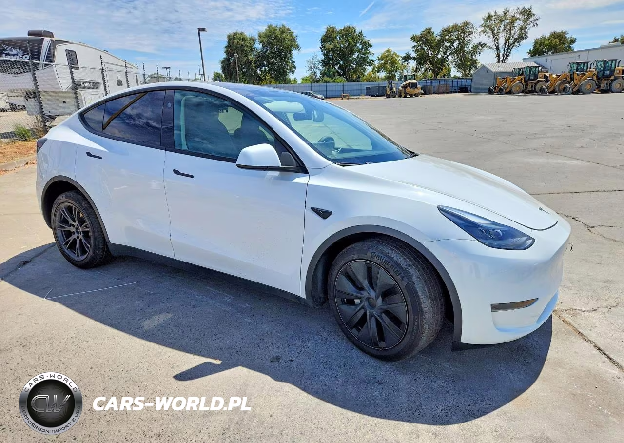 2024 Tesla Model Y VIN:7SAYGDED7RF154403 - 4