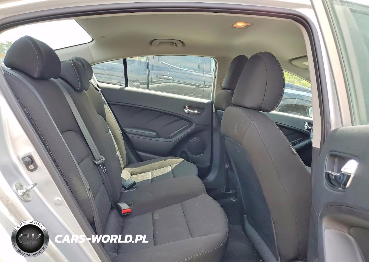 2016 Kia Forte Lx VIN:KNAFK4A6XG5569169 - 10