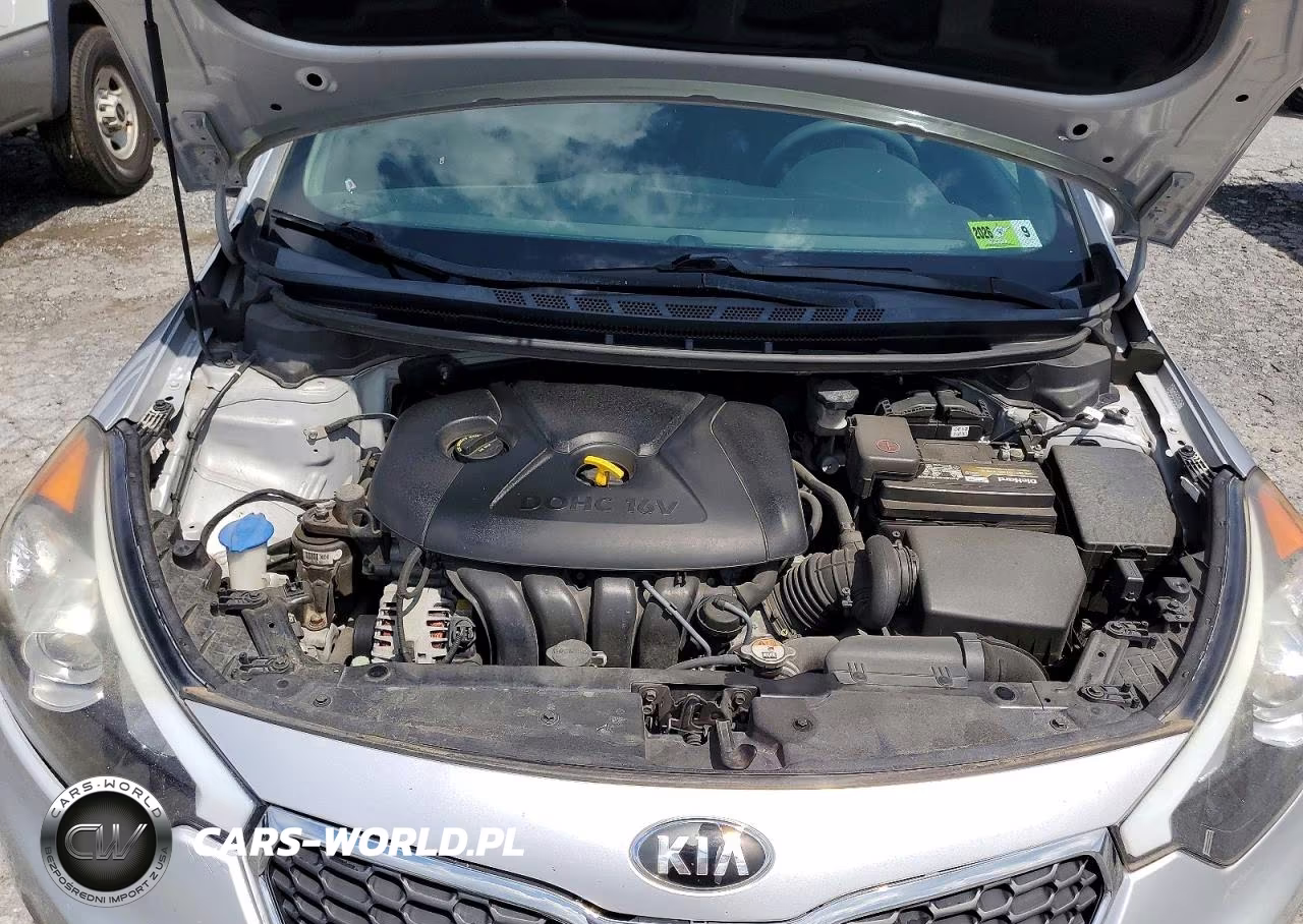 2016 Kia Forte Lx VIN:KNAFK4A6XG5569169 - 11