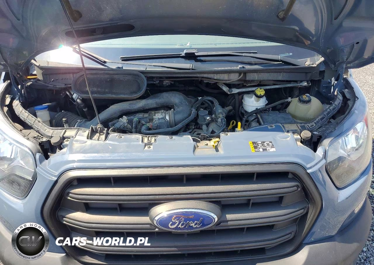 2020 Ford Transit 250 Delivery Van VIN:1FTBR3X87LKB27039 - 12
