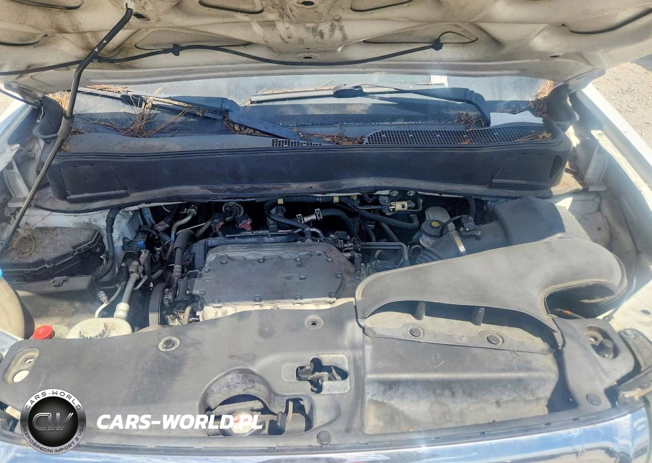 2013 Honda Pilot Exl VIN:5FNYF3H51DB039450 - 12