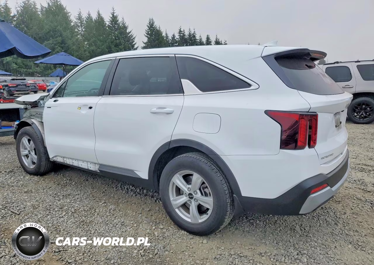 2024 Kia Sorento Lx VIN:5XYRG4JC2RG300956 - 2