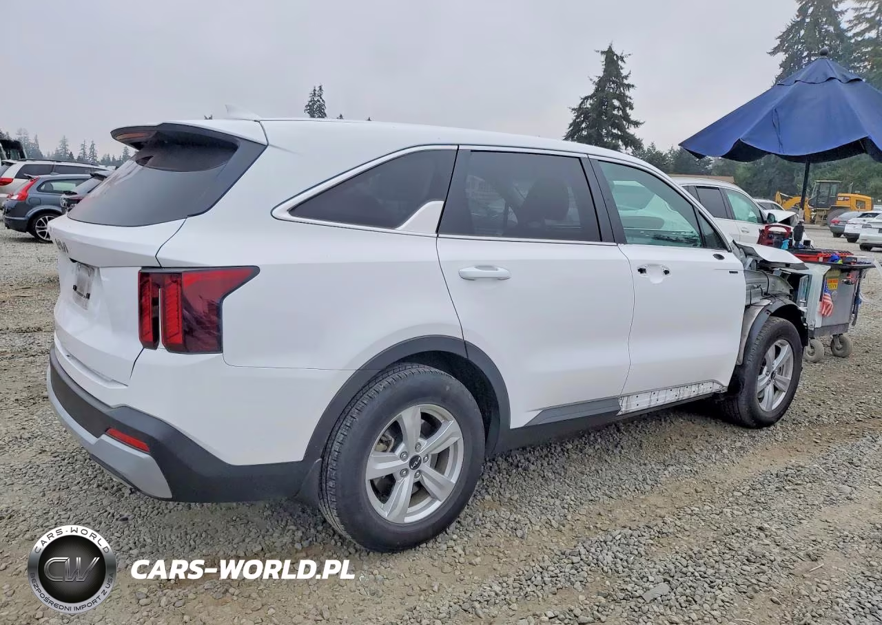 2024 Kia Sorento Lx VIN:5XYRG4JC2RG300956 - 3