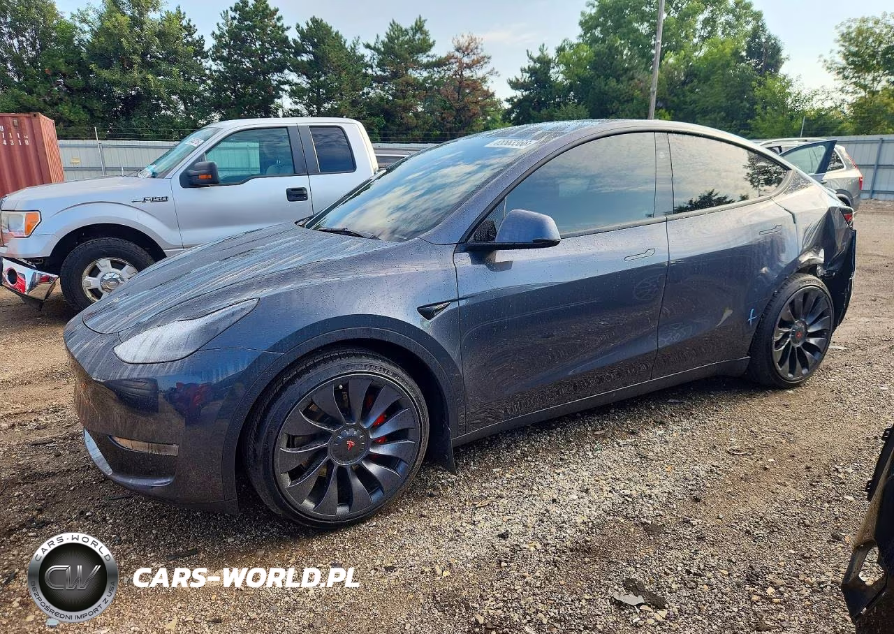 2023 Tesla Model Y VIN:7SAYGDEF5PF978981 - 1