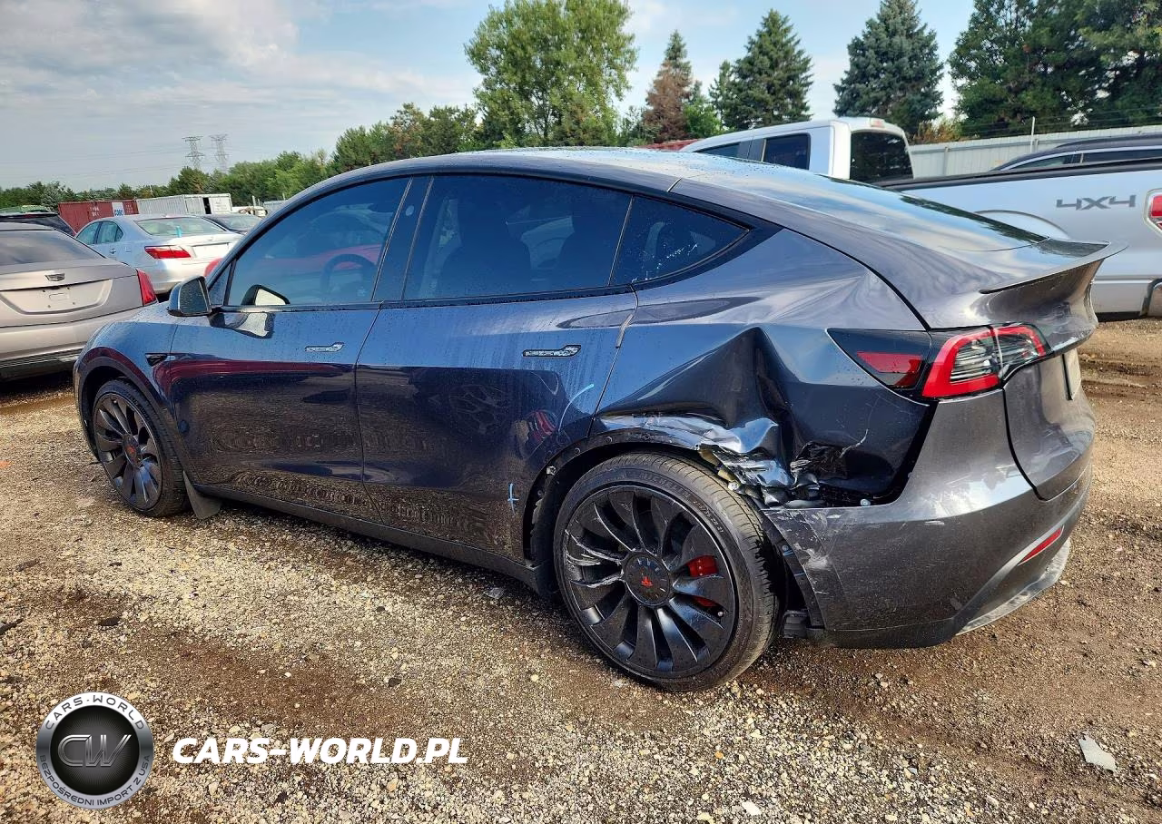 2023 Tesla Model Y VIN:7SAYGDEF5PF978981 - 2