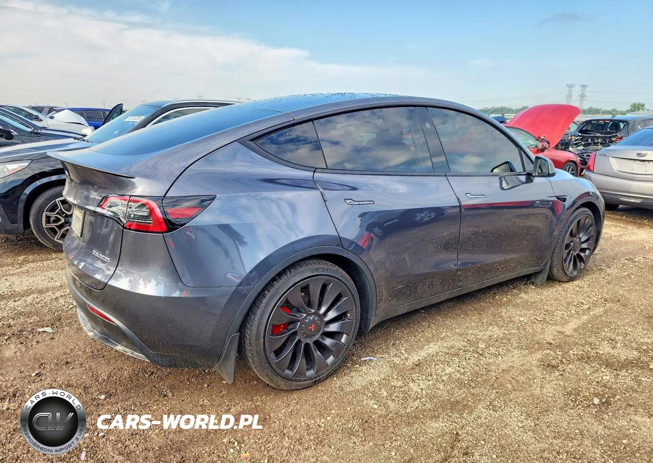 2023 Tesla Model Y VIN:7SAYGDEF5PF978981 - 3