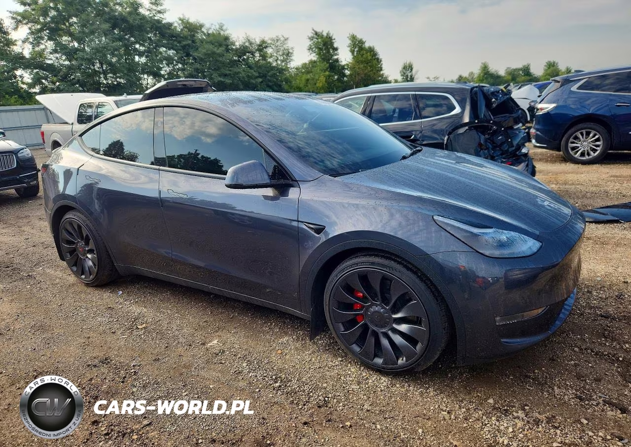 2023 Tesla Model Y VIN:7SAYGDEF5PF978981 - 4