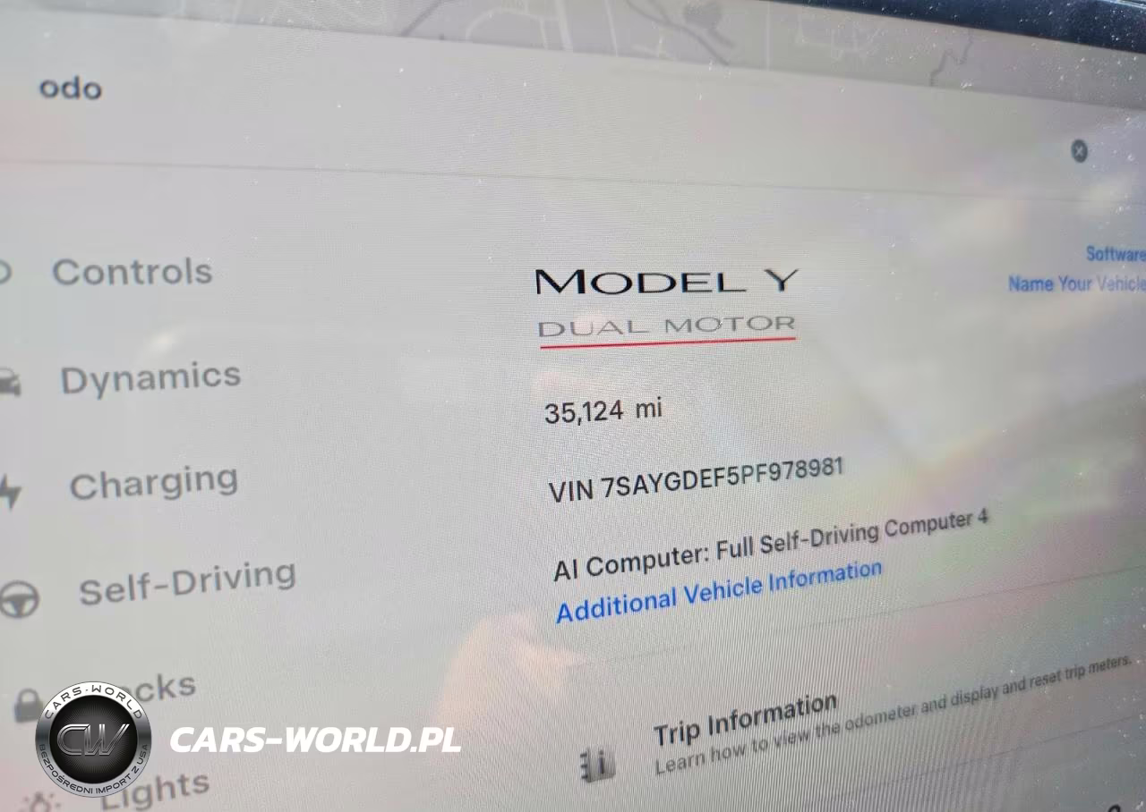 2023 Tesla Model Y VIN:7SAYGDEF5PF978981 - 9