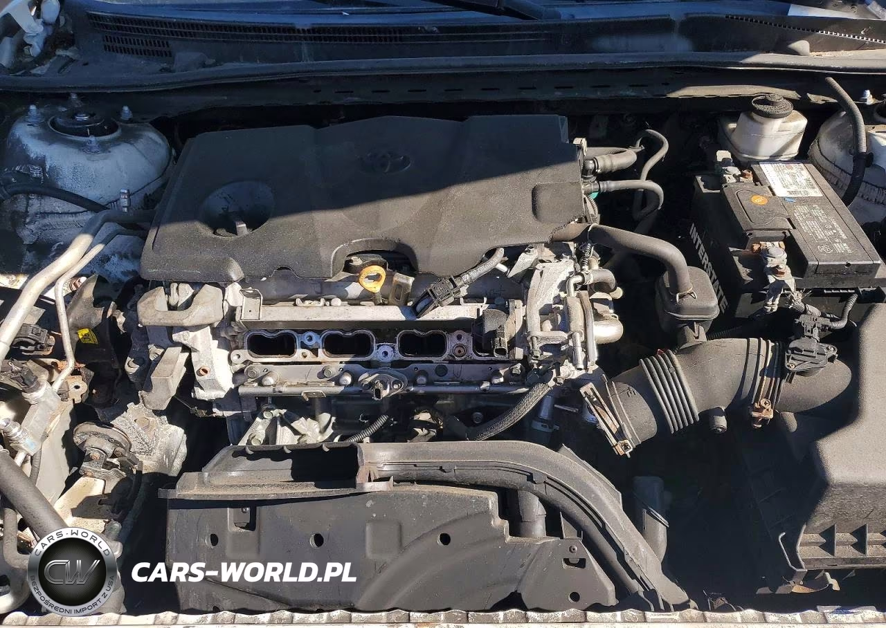 2019 Toyota Camry Le VIN:4T1B11HK0KU252498 - 11