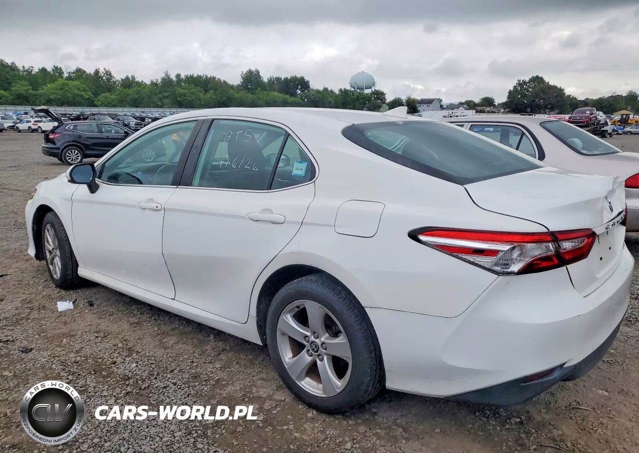 2019 Toyota Camry Le VIN:4T1B11HK0KU252498 - 2