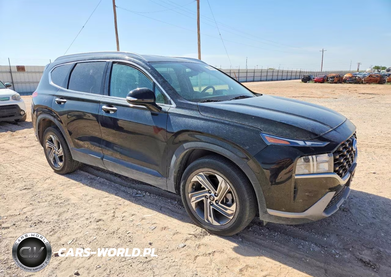 2023 Hyundai Santa Fe Sel VIN:5NMS24AJ6PH544921 - 4