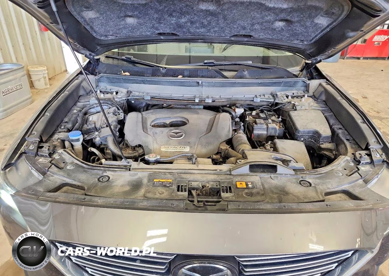 2018 Mazda Cx-9 Touring VIN:JM3TCBCY2J0206625 - 11