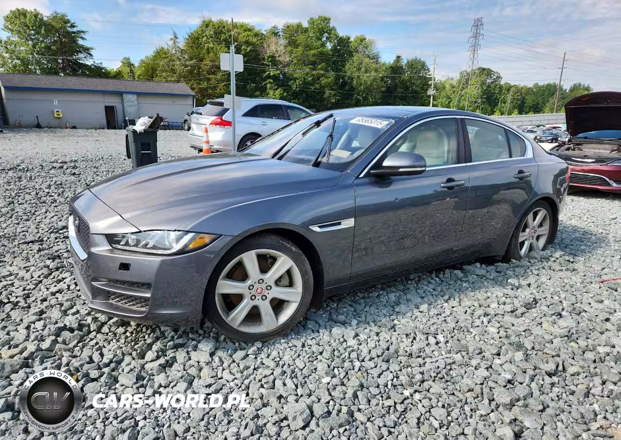 JAGUAR