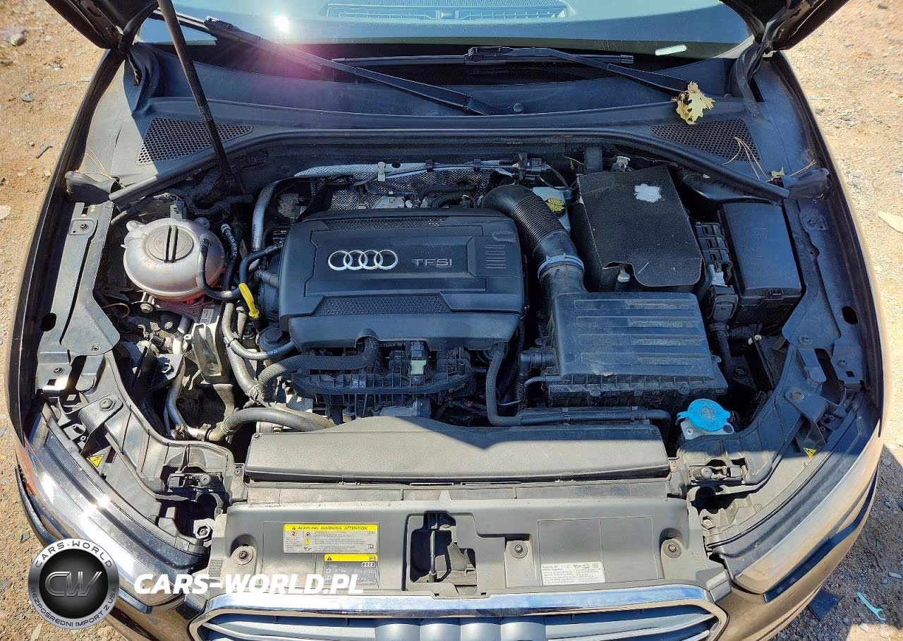 2015 Audi A3 Premium VIN:WAUACGFF4F1012538 - 11
