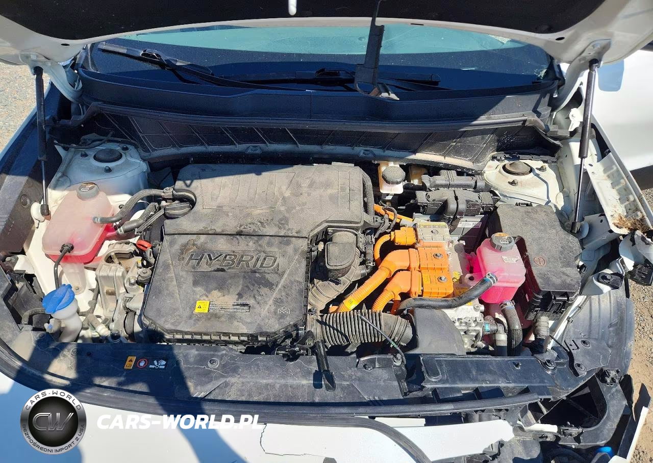 2024 Kia Niro Ex VIN:KNDCR3LE2R5184420 - 11