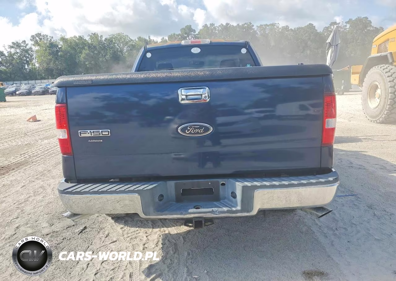 2004 Ford F150 VIN:1FTRF12W24NA38092 - 10