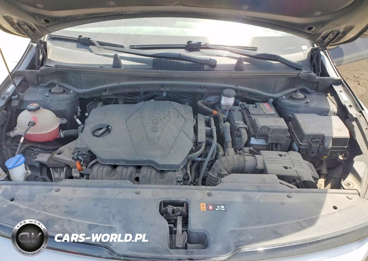 2023 Kia Sportage Ex VIN:5XYK33AF3PG086543 - 12