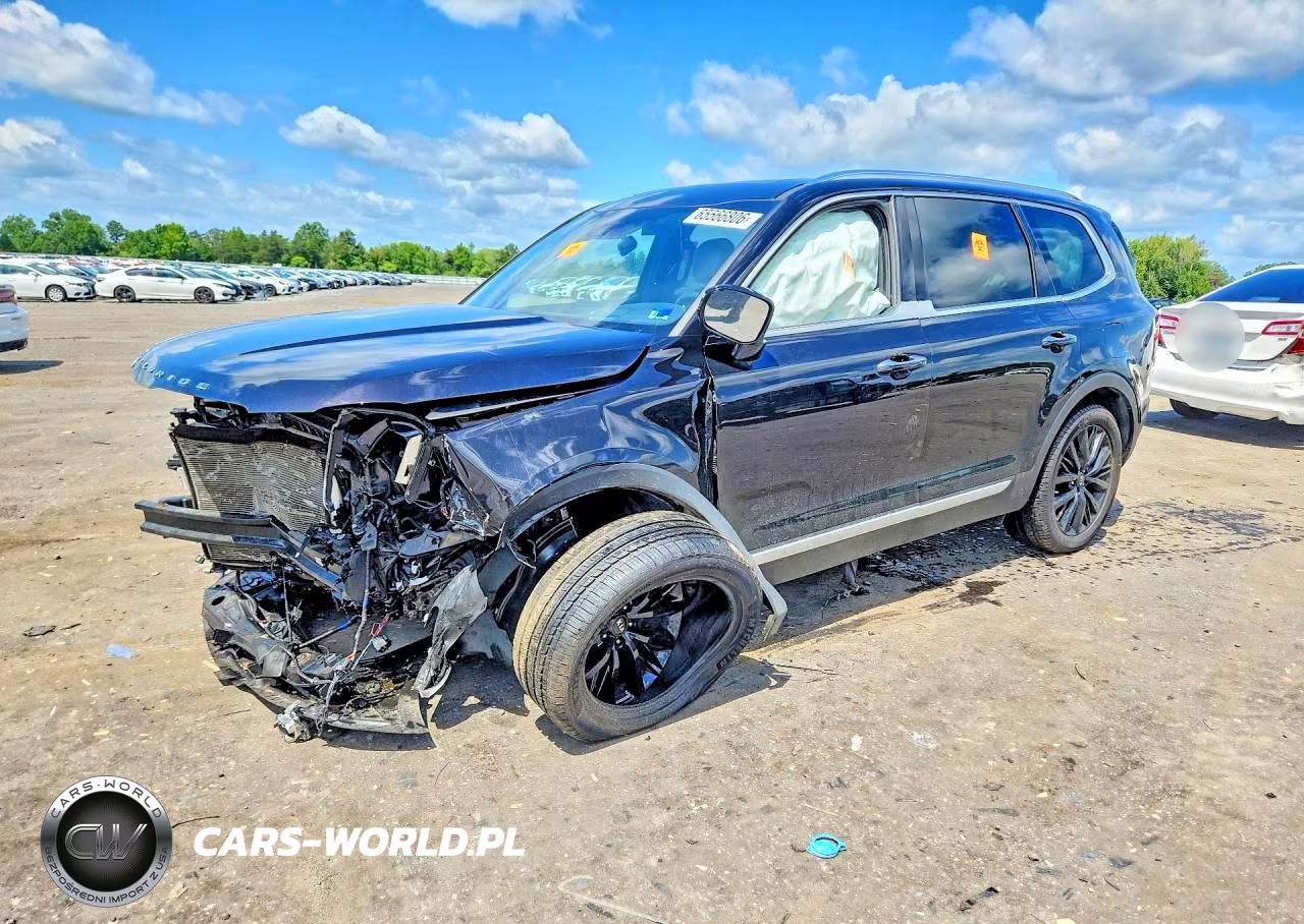 2021 Kia Telluride Sx VIN:5XYP5DHC9MG173778 - 1