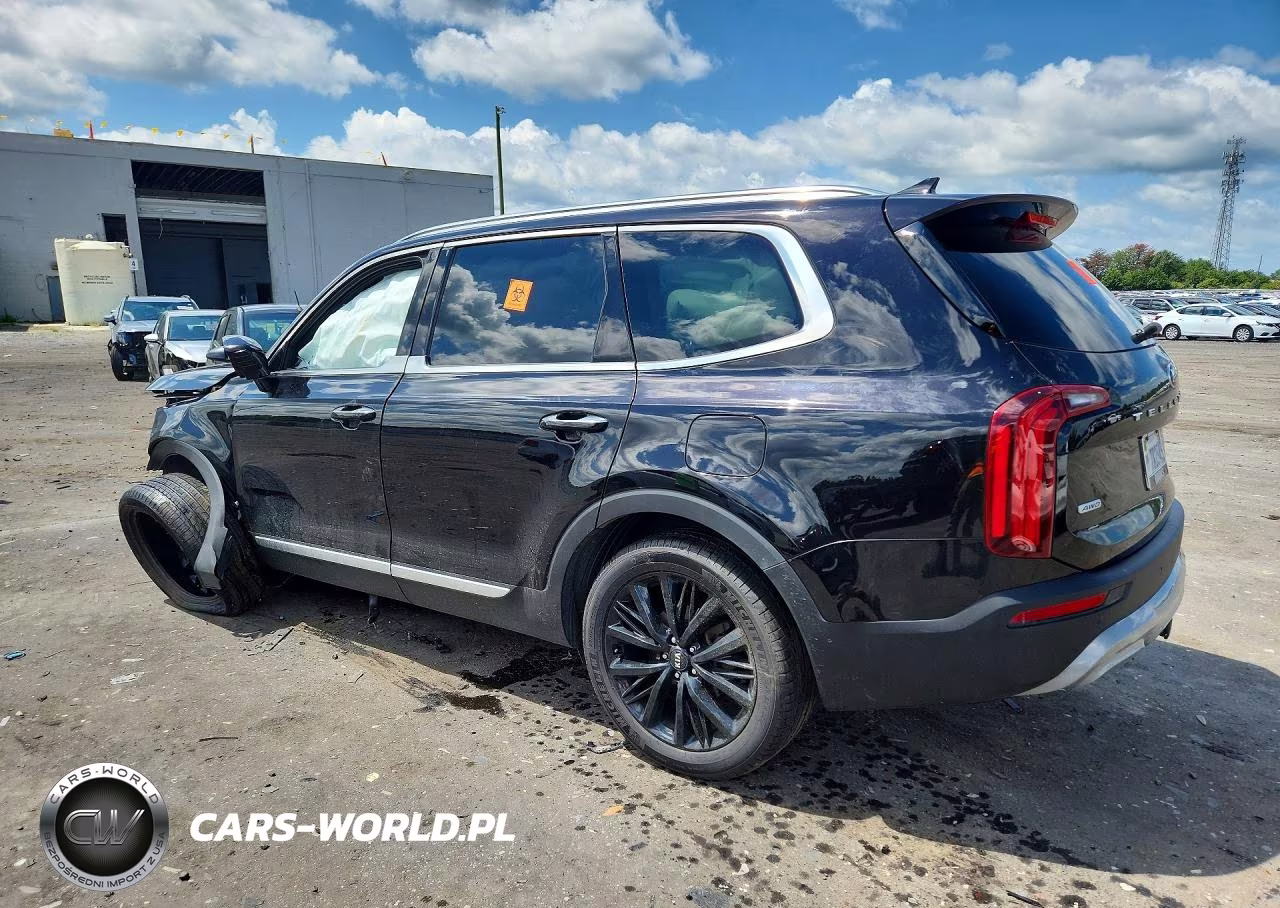 2021 Kia Telluride Sx VIN:5XYP5DHC9MG173778 - 2