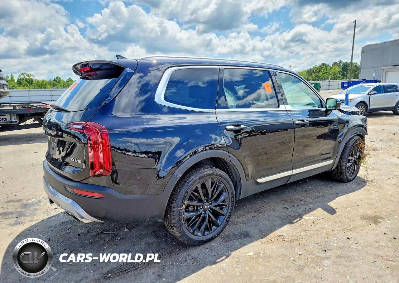2021 Kia Telluride Sx VIN:5XYP5DHC9MG173778 - 3
